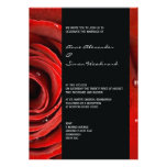 Modern Red Rose Wedding Invitation 5 by 7