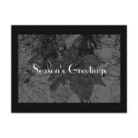 Modern Season's Greeting Post Cards