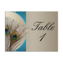 Modern Taupe Aqua Peacock Feather Table Number Post Cards