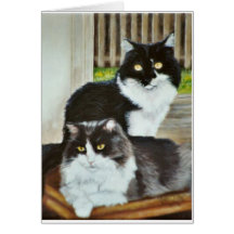 "Moggy and Trillby" cat portrait card