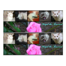 MogulFund Postcard