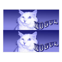 MogulFund Postcards