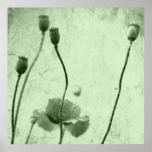 Mohn Kunst Poster