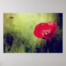 Mohnblumen Kunst Poster