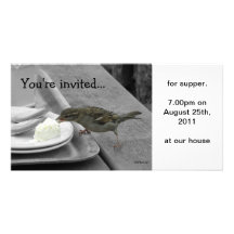 Moineau effronté Photocard Photocarte