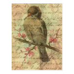 Moineau vintage cartes postales