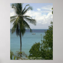 Moira at anchor, Bahia Drake, Costa Rica Poster