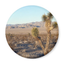 Mojave Desert scene 01 Fridge Magnets