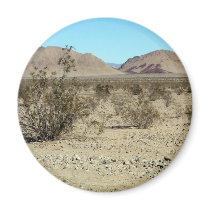 Mojave Desert scene 02 Fridge Magnet