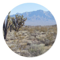 Mojave Desert scene 03 Sticker