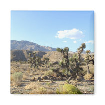 Mojave Desert scene 06 Fridge Magnet