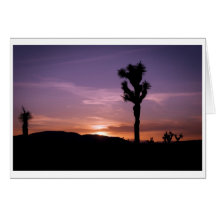 Mojave Desert Sunset Card