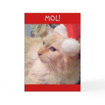 MOL! Cokie the Cat Christmas Cards