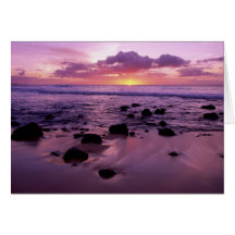 Molaki Sunset Cards