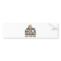 Mole Problems
