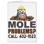 Mole Problems