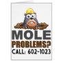 Mole Problems