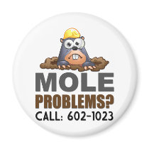 Mole Problems