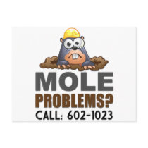 Mole Problems