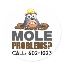 Mole Problems