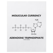 Molecular Currency Adenosine Triphosphate