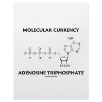 Molecular Currency Adenosine Triphosphate