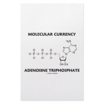 Molecular Currency Adenosine Triphosphate