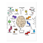 Molecules Galore! Postcard