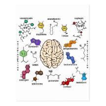 Molecules Galore! Postcard