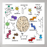Molecules Galore! Poster