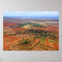 Molokai Aerial Print