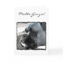 Molte Grazie! Boxer greeting card