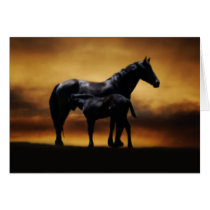 Mom and Baby colt Greeting Card
