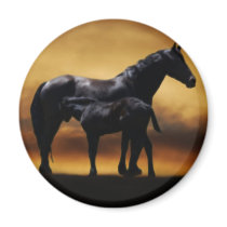 Mom and Baby colt Magnets