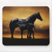 Mom and Baby colt Mousepad