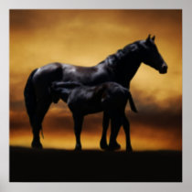 Mom and Baby colt Posters