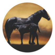 Mom and Baby colt Sticker