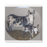 MOM AND BABY DONKEY MAGNETS