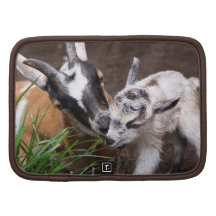 Mom and Baby Goat Planners