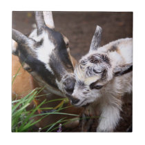 Mom and Baby Goat tiles
