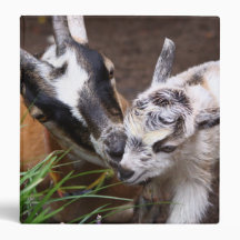 Mom and Baby Goat Vinyl Binder