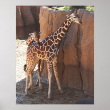 Mom and Baby Posters