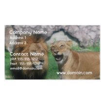 Mom and Dad Lion  Business Cards