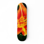 MOM ON BOARD skateboards