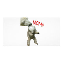 MOM!! PHOTO CARDS