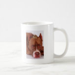 Mom, please..... mugs