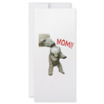 MOM!! rack cards