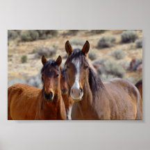Mom with Teenage Foal Print