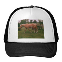 Moma horse and baby horse hats