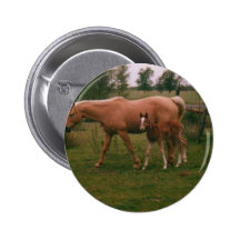 Moma horse and baby horse pinback button